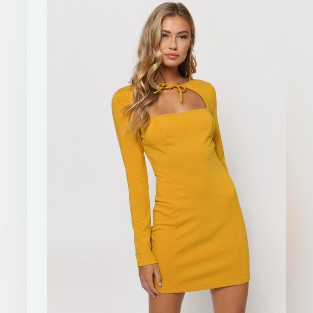 Tobi Bodycon Dress